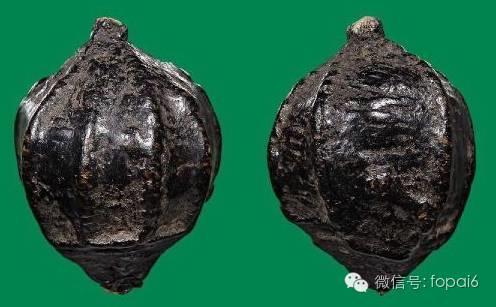 泰国五大冠兰圣物之一麦退-图片4