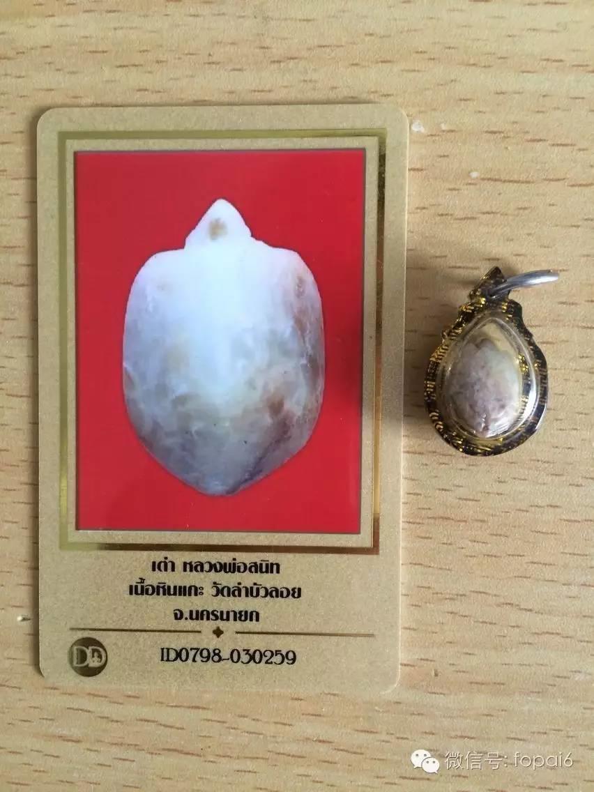 龙婆神尼与招财龟-图片3