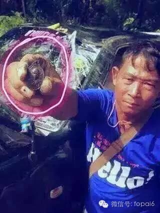 为什么泰国人喜欢配带师傅自身牌?【泰国佛牌】 为什么泰国人喜欢配带师傅自身牌?【泰国佛牌】