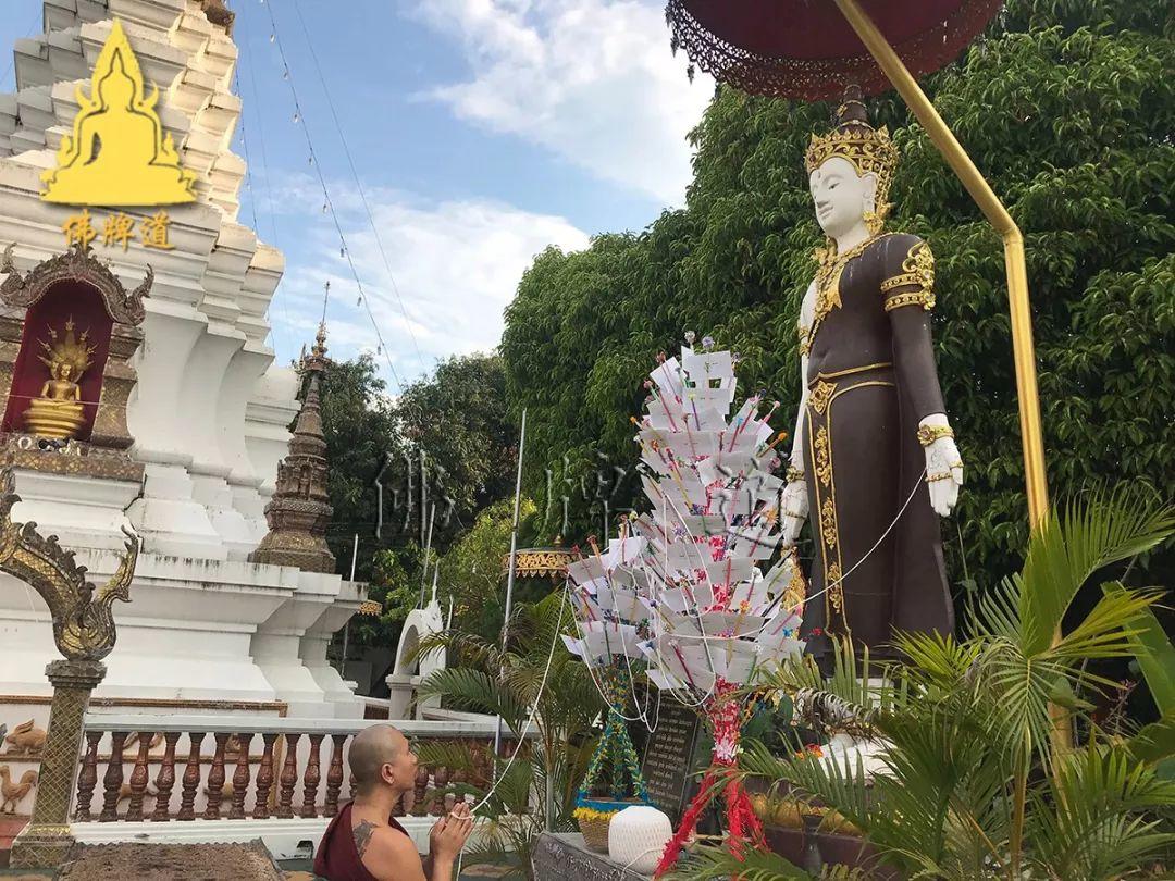 【会员活动现场】捐赠功德树--古巴悟师父(开示佛祖)【泰国佛牌】 【会员活动现场】捐赠功德树–古巴悟师父(开示佛祖)-图片10