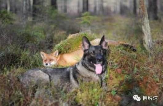 国庆放假啦！ 小成和朋友们分享一则故事-图片2