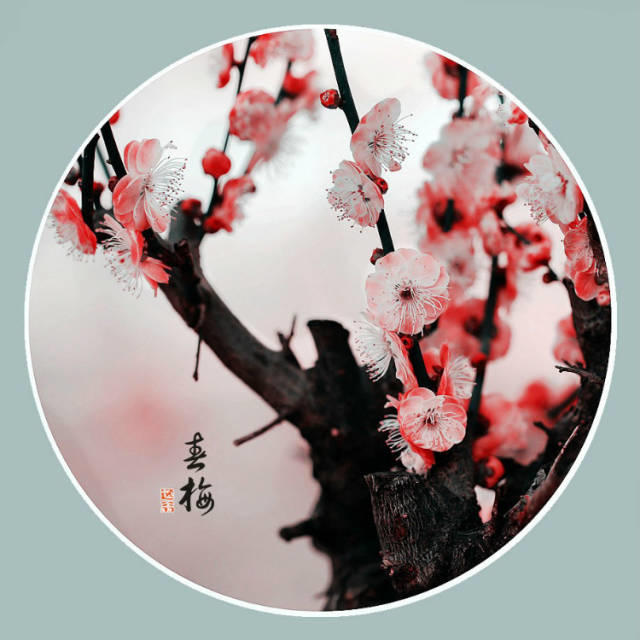 能打开任何人心结的一段话【泰国佛牌】