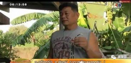 知否知否，应是佛牌庇佑！【泰国佛牌】