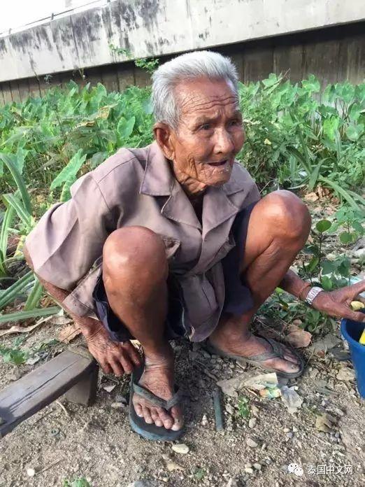 90岁泰国老人为活着,漂泊他乡打工,住垃圾场被人赶!【泰国佛牌】 90岁泰国老人为活着,漂泊他乡打工,住垃圾场被人赶!【泰国佛牌】