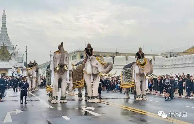泰国大象悼念国王普密蓬 行叩拜礼【泰国佛牌】 泰国大象悼念国王普密蓬 行叩拜礼【泰国佛牌】