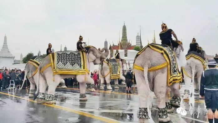 泰国大象悼念国王普密蓬 行叩拜礼【泰国佛牌】 泰国大象悼念国王普密蓬 行叩拜礼【泰国佛牌】