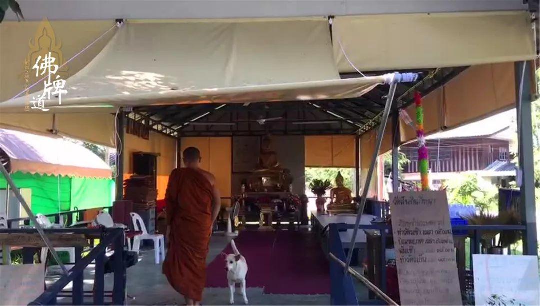 【活动现场】捐赠龙婆弥猜师父寺庙-图片14