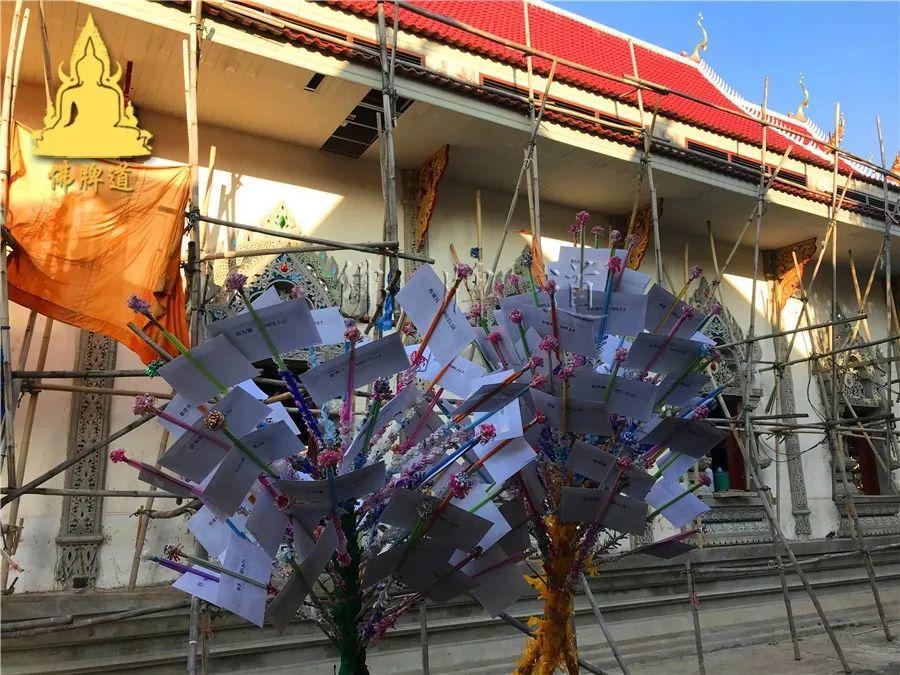 【会员活动现场】捐赠功德树–龙婆银班师父-图片7