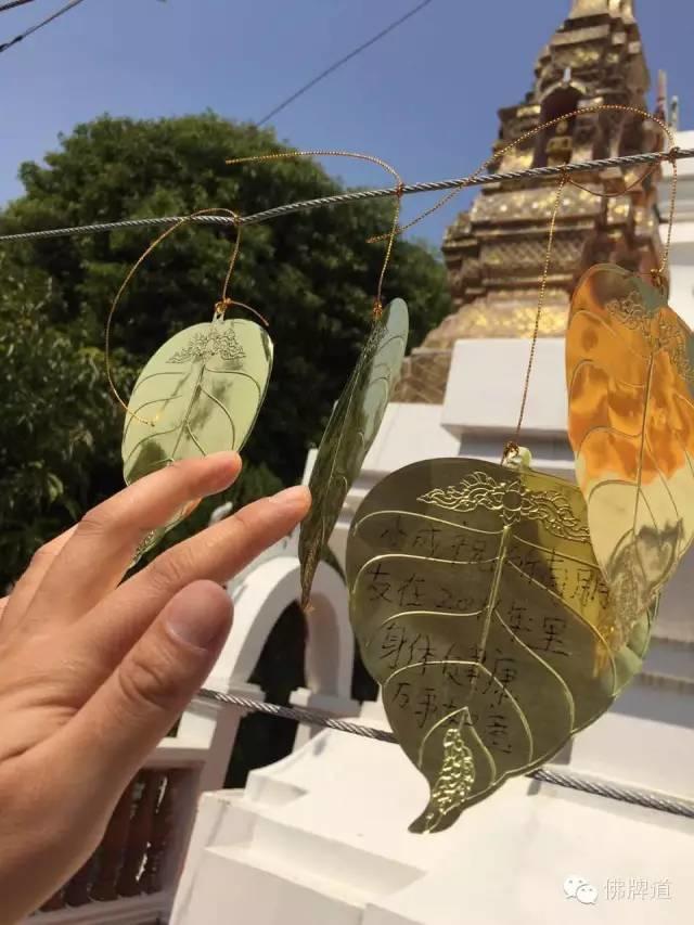 佛牌道-祈福许愿菩提叶【泰国佛牌】 佛牌道-祈福许愿菩提叶-图片1