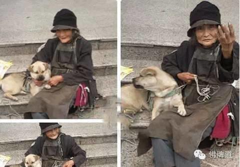 看完你能忍到第几张不哭?【泰国佛牌】 看完你能忍到第几张不哭?-图片6