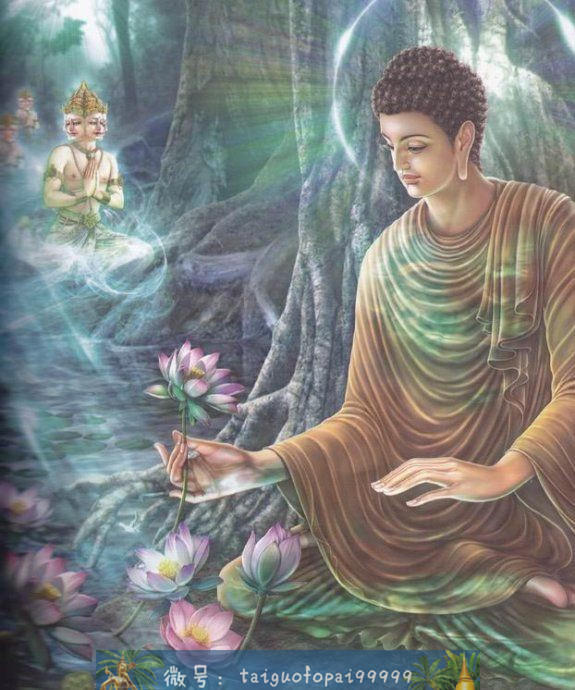 释迦摩尼的一生(第四卷)【泰国佛牌】 释迦摩尼的一生(第四卷)-图片1