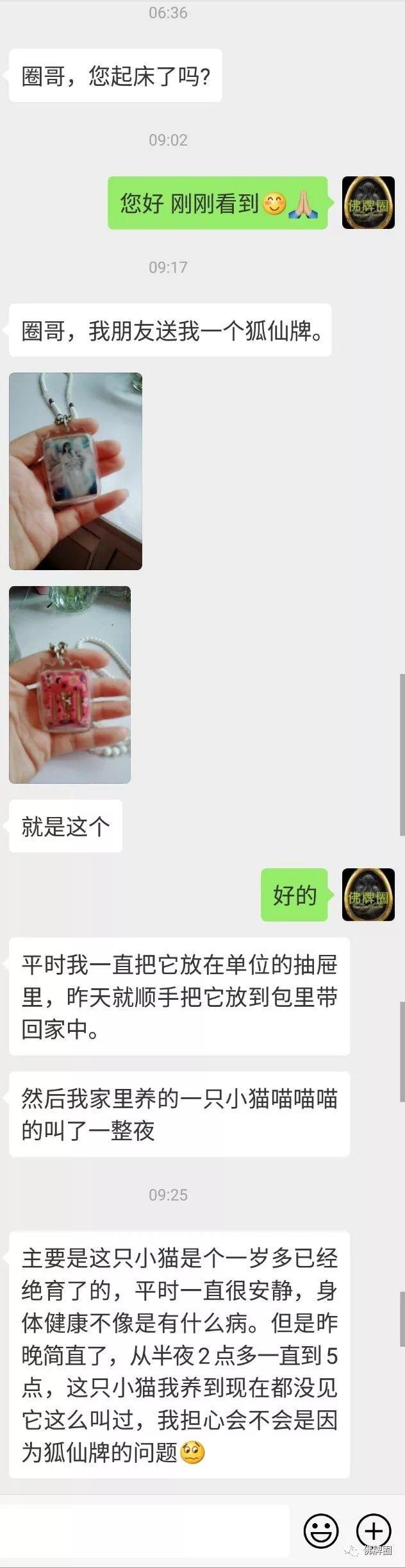 带回朋友送给我的狐仙牌后，我家的小猫喵喵喵的叫了一整夜！