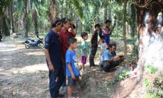女工遭树神附身 央求重见天日？-图片2