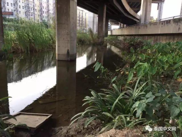 90岁泰国老人为活着,漂泊他乡打工,住垃圾场被人赶!【泰国佛牌】 90岁泰国老人为活着,漂泊他乡打工,住垃圾场被人赶!【泰国佛牌】