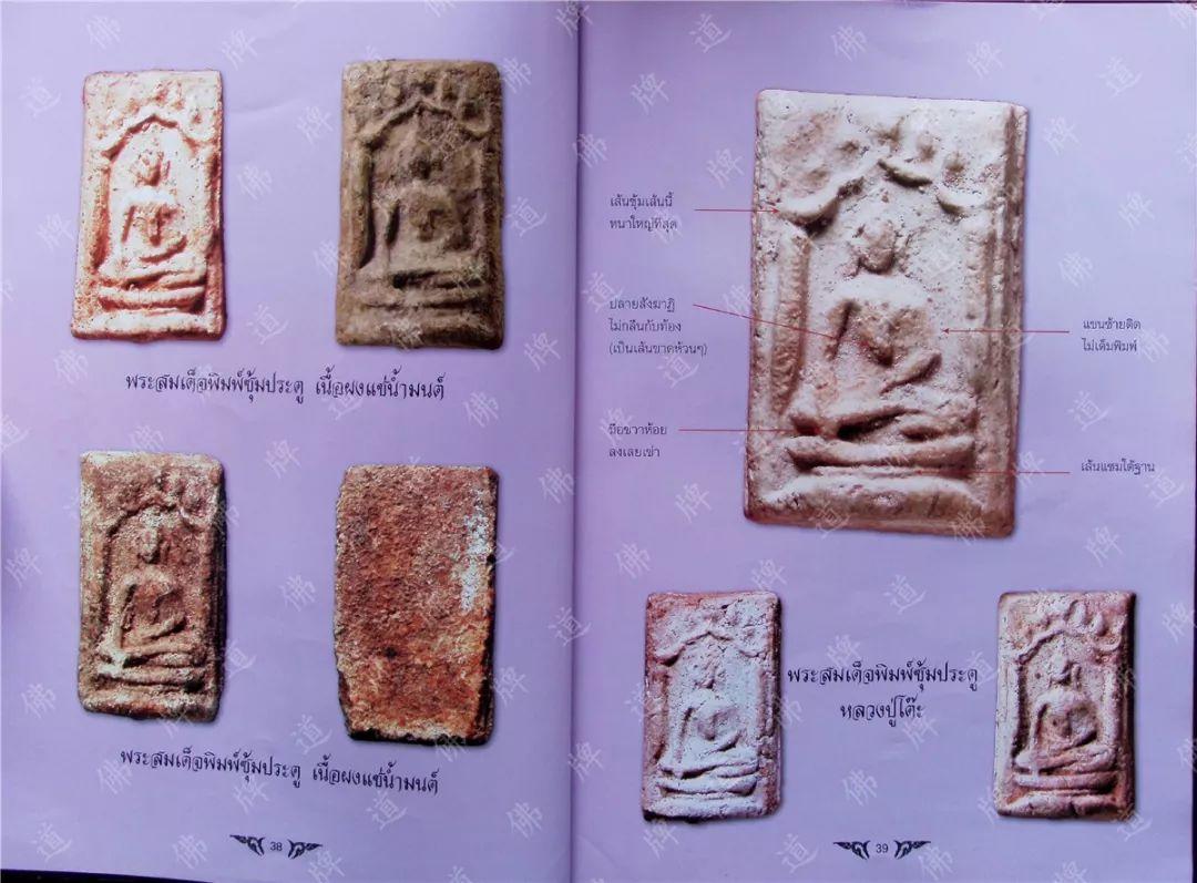 图鉴| 龙婆多图鉴（2）-图片3