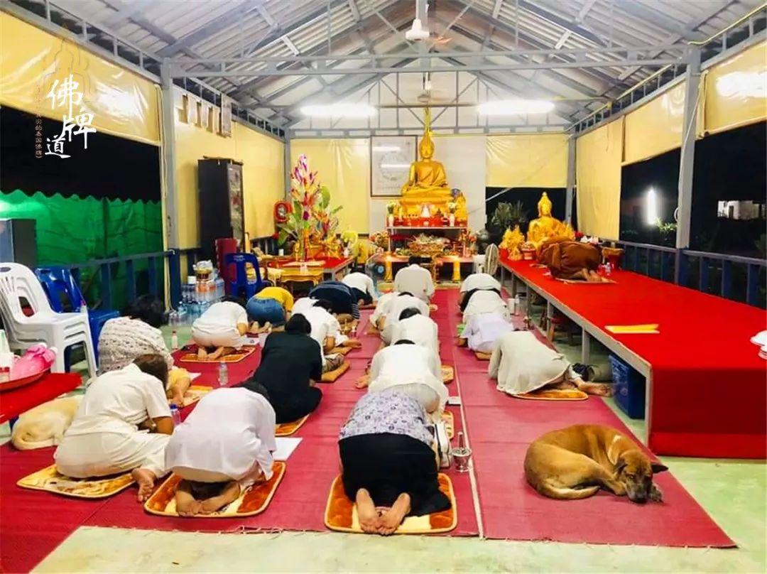 【活动现场】捐赠龙婆弥猜师父寺庙-图片19