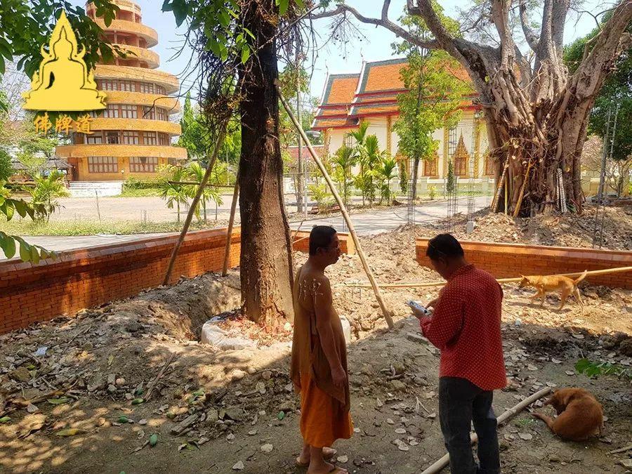 【功德活动】--帮助森林派师父--龙婆通波哇寺庙 建造“大型立尊像”【泰国佛牌】 【功德活动】–帮助森林派师父–龙婆通波哇寺庙 建造“大型立尊像”-图片15