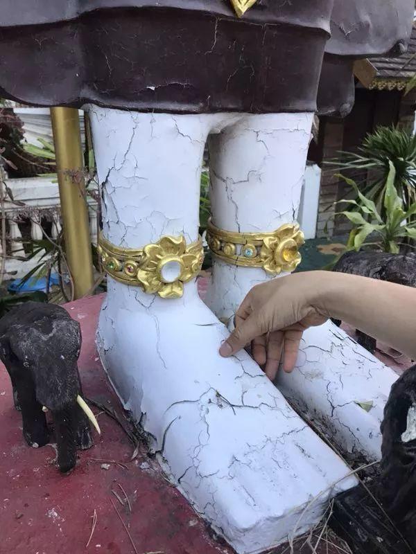 【会员活动】捐赠功德树–古巴悟师父“开示佛祖”-图片2