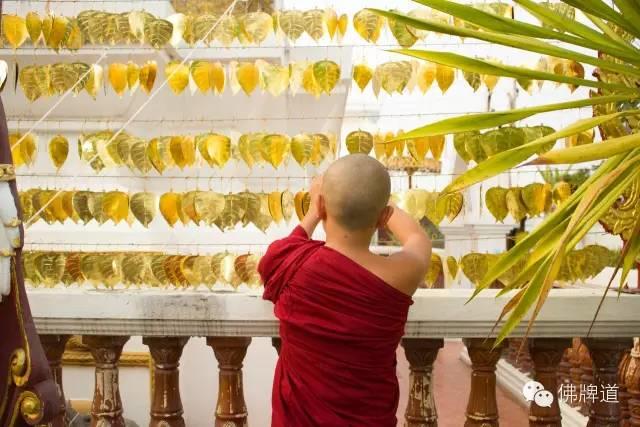 佛牌道-祈福许愿菩提叶【泰国佛牌】 佛牌道-祈福许愿菩提叶-图片3