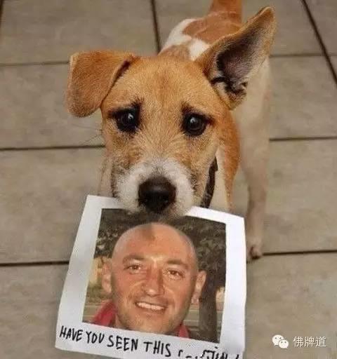 看完你能忍到第几张不哭?【泰国佛牌】 看完你能忍到第几张不哭?-图片9