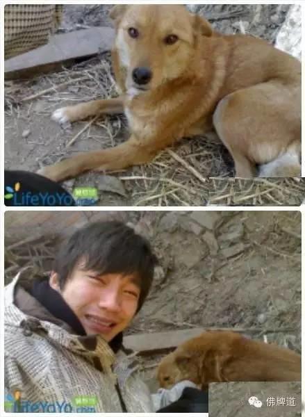 看完你能忍到第几张不哭?【泰国佛牌】 看完你能忍到第几张不哭?-图片14