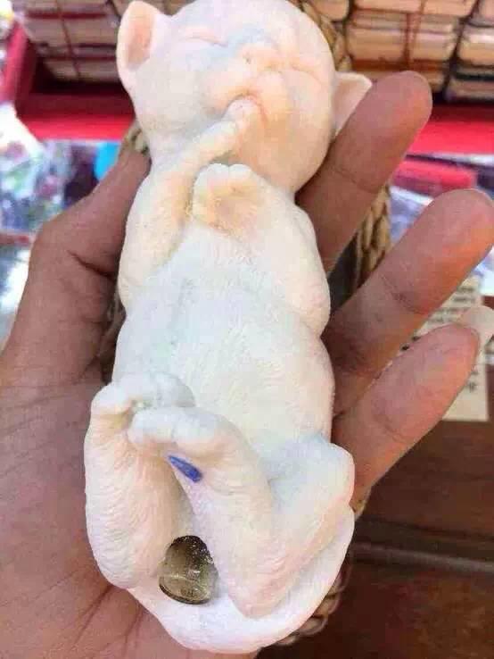 可爱的外表下-图片4