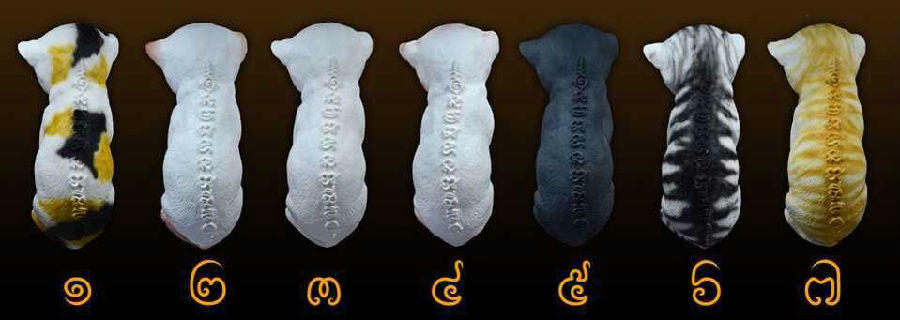 本月12号前往泰国恭请佛牌等圣物（现接受新老圣物预定）-图片4