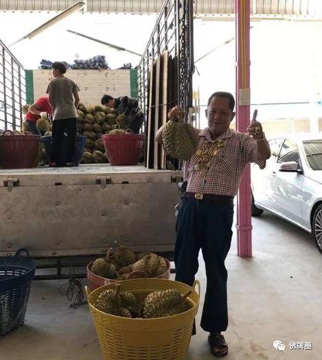 谁会是榴莲厂最帅的崽?泰国佛牌藏家兼榴莲大佬“重金招婿”始末!【泰国佛牌】 谁会是榴莲厂最帅的崽?泰国佛牌藏家兼榴莲大佬“重金招婿”始末!【泰国佛牌】