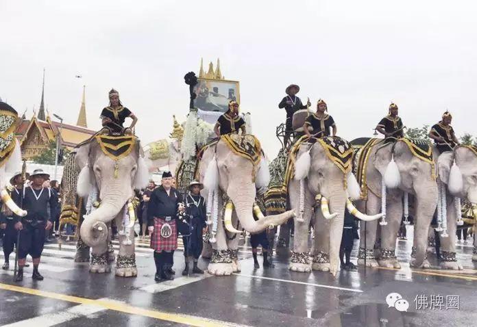 泰国大象悼念国王普密蓬 行叩拜礼【泰国佛牌】 泰国大象悼念国王普密蓬 行叩拜礼【泰国佛牌】
