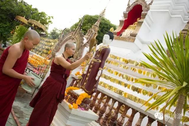 佛牌道-祈福许愿菩提叶【泰国佛牌】 佛牌道-祈福许愿菩提叶-图片4