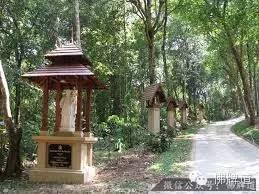 佛牌道11-泰北第一圣僧--古巴洗威猜【泰国佛牌】