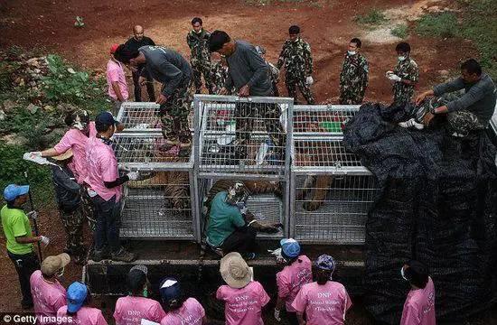 庙里不一定供的是菩萨--泰国虎庙【泰国佛牌】 庙里不一定供的是菩萨–泰国虎庙-图片12