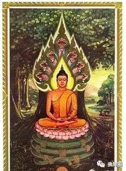 泰国至今未解奇观，蛇神娜迦吐珠现象！【泰国佛牌】