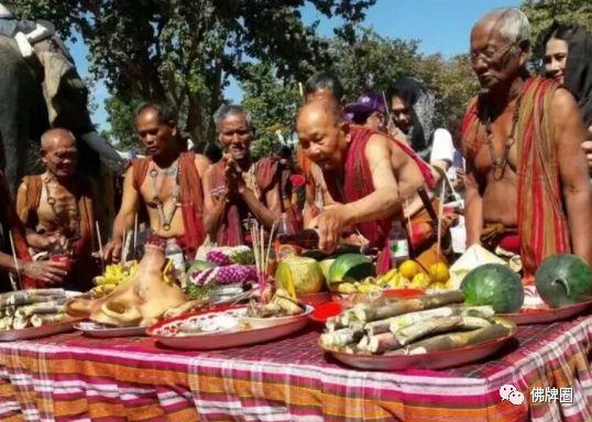 那些可遇不可求的，制作“洗朋”（人缘膏）的顶尖原料！-图片5