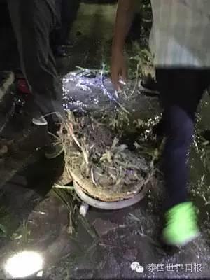 泰国连环爆！华欣 普吉 董里等多地18小时被放11枚炸弹8爆4死数伤【泰国佛牌】