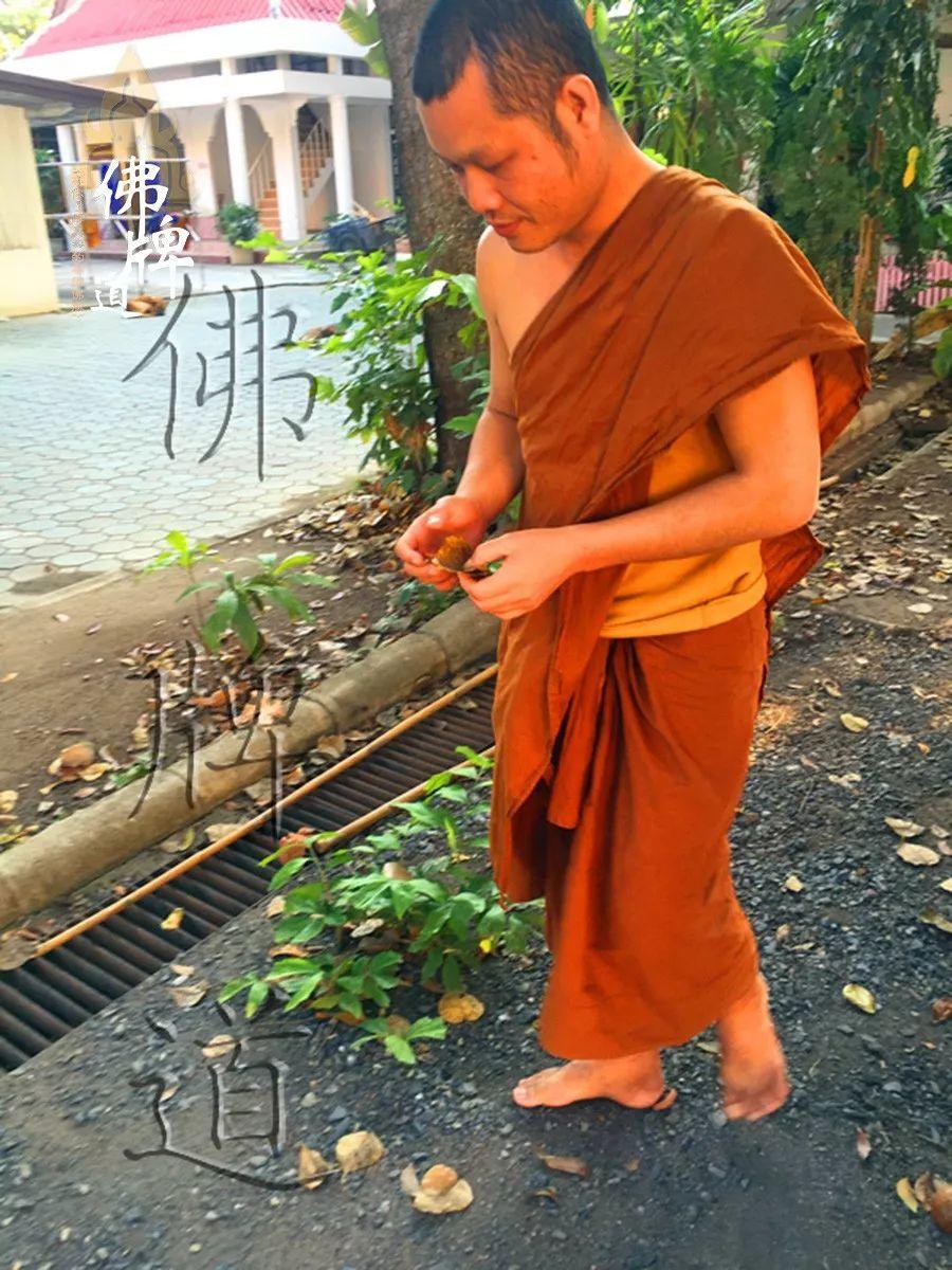 【功德活动】龙婆弥猜师父寺庙急待修缮【泰国佛牌】 【功德活动】龙婆弥猜师父寺庙急待修缮-图片16