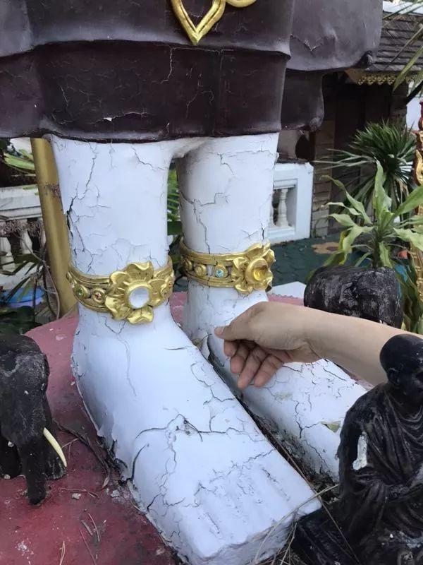 【会员活动】捐赠功德树–古巴悟师父“开示佛祖”-图片4