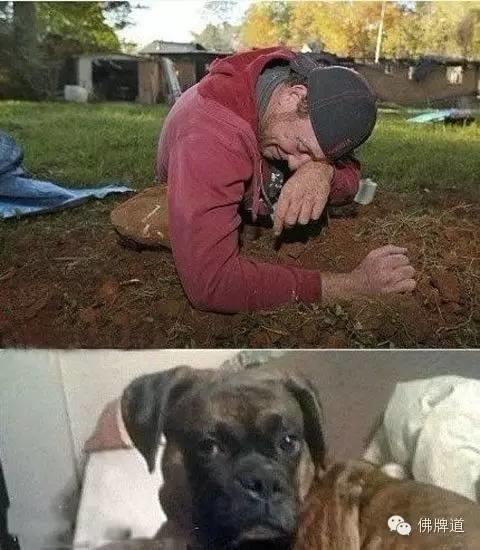 看完你能忍到第几张不哭?【泰国佛牌】 看完你能忍到第几张不哭?-图片5