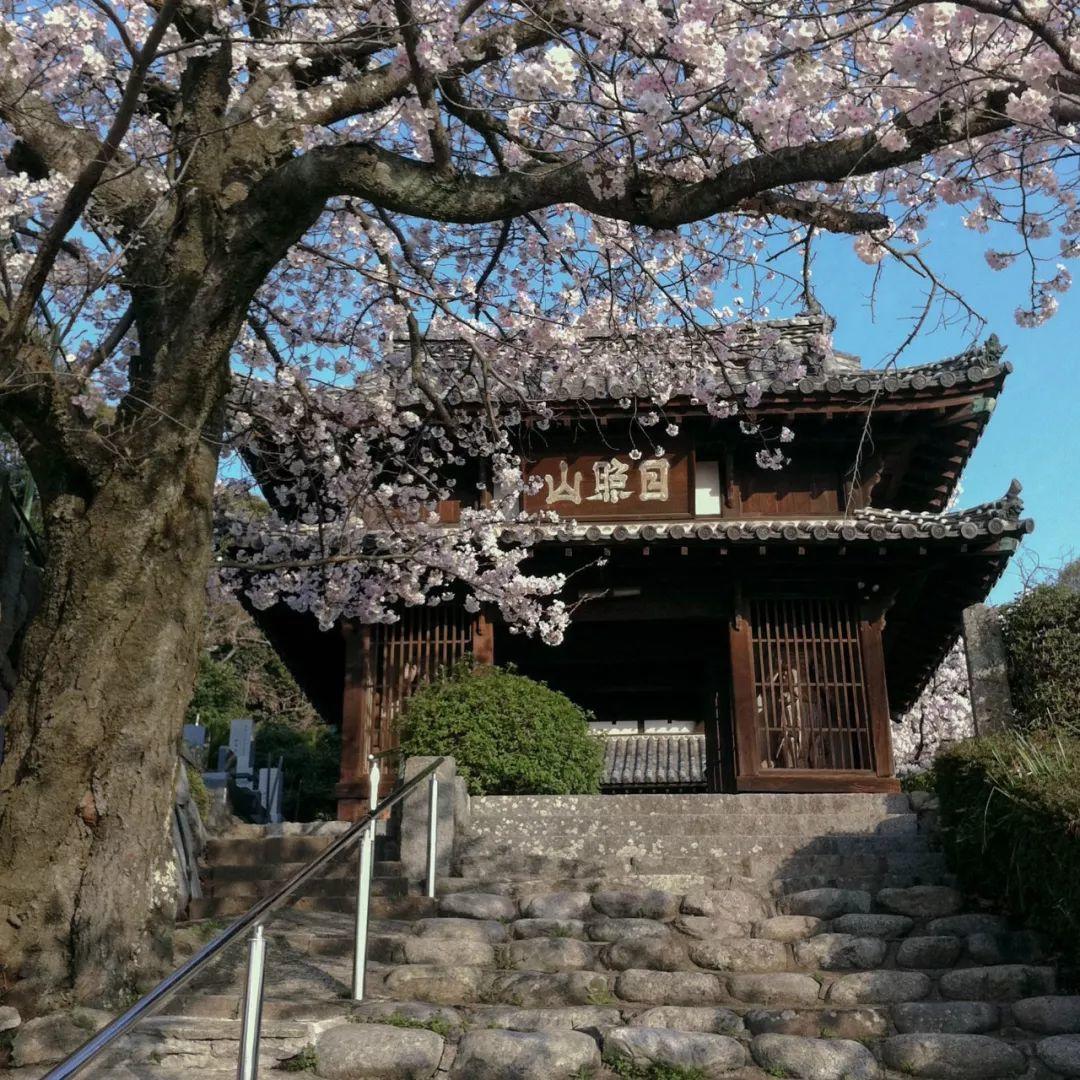 杂谈| 先媚世俗，後談理想－《波若波羅密心經》Rap版-图片5