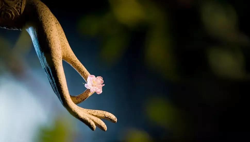 佛言九语，破一切难题-图片7