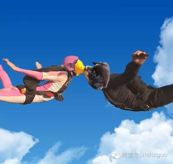 泰国一只想要上演“鱼汪之恋”的汪星人【泰国佛牌】 泰国一只想要上演“鱼汪之恋”的汪星人【泰国佛牌】