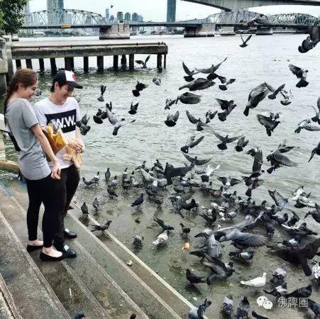 泰国明星做功德不忘秀恩爱【泰国佛牌】