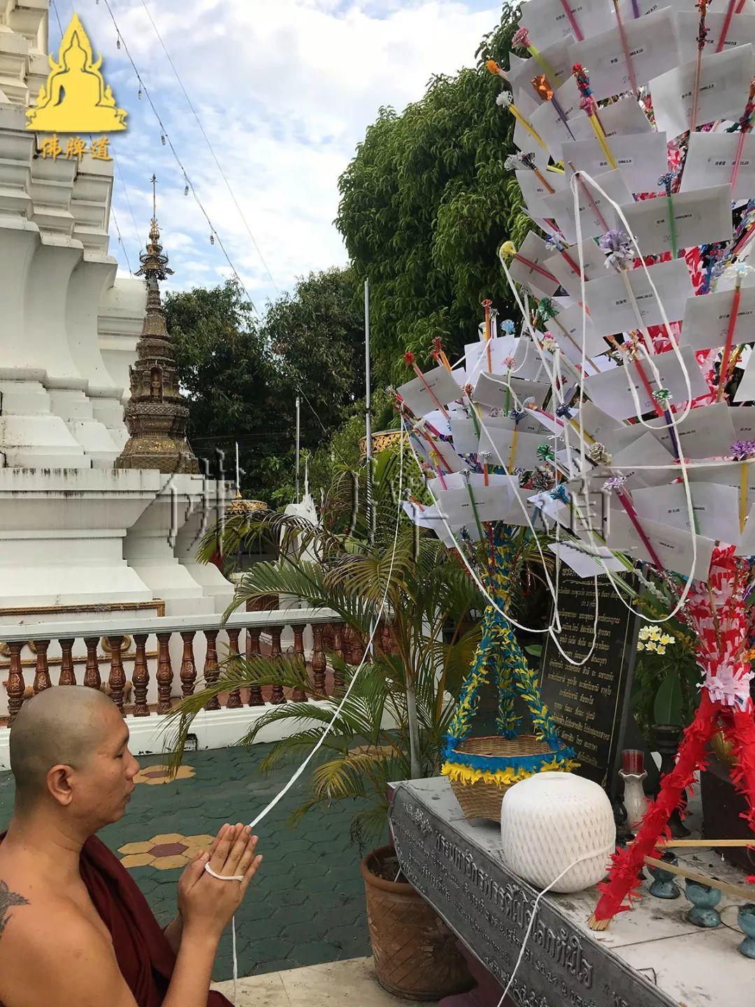 【会员活动现场】捐赠功德树--古巴悟师父(开示佛祖)【泰国佛牌】 【会员活动现场】捐赠功德树–古巴悟师父(开示佛祖)-图片8