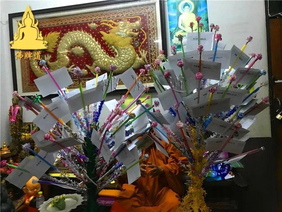 【会员活动现场】捐赠功德树–龙婆银班师父-图片4