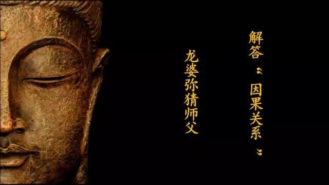 佛牌道25：龙婆弥猜师父解答“因果关系”【泰国佛牌】