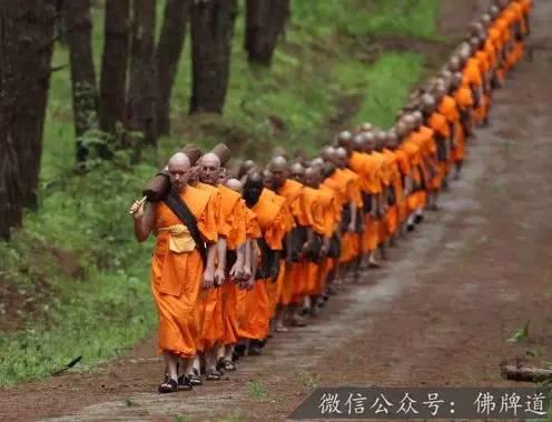 佛牌道07-泰国的“龙婆”都是高僧吗？-图片5