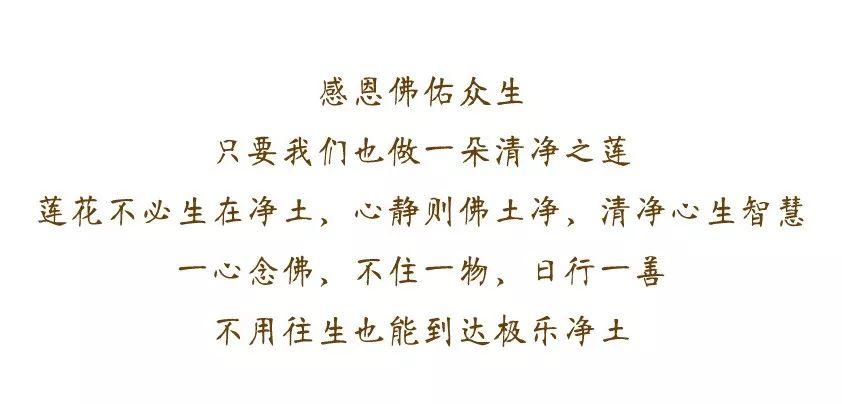 贫由吝啬起，富从布施来【泰国佛牌】