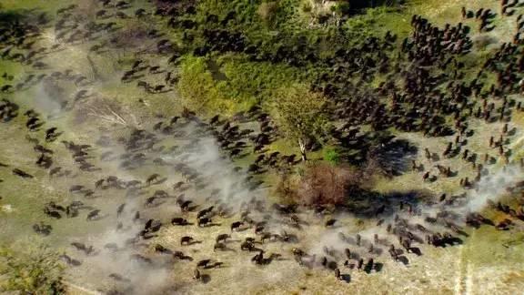 一部绝对震撼心灵的纪录片（强烈建议收藏观看）【泰国佛牌】