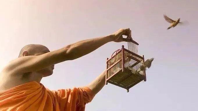 震憾!!放生竟有如此的大功德利益!【泰国佛牌】 震憾!!放生竟有如此的大功德利益!-图片1