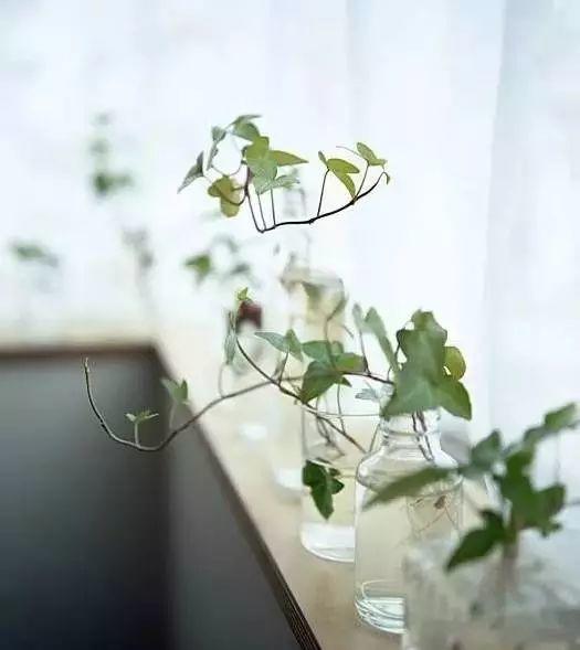 极简主义生活方式，让你更加快乐幸福-图片2